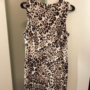 Size 8 Cheetah Print Dress